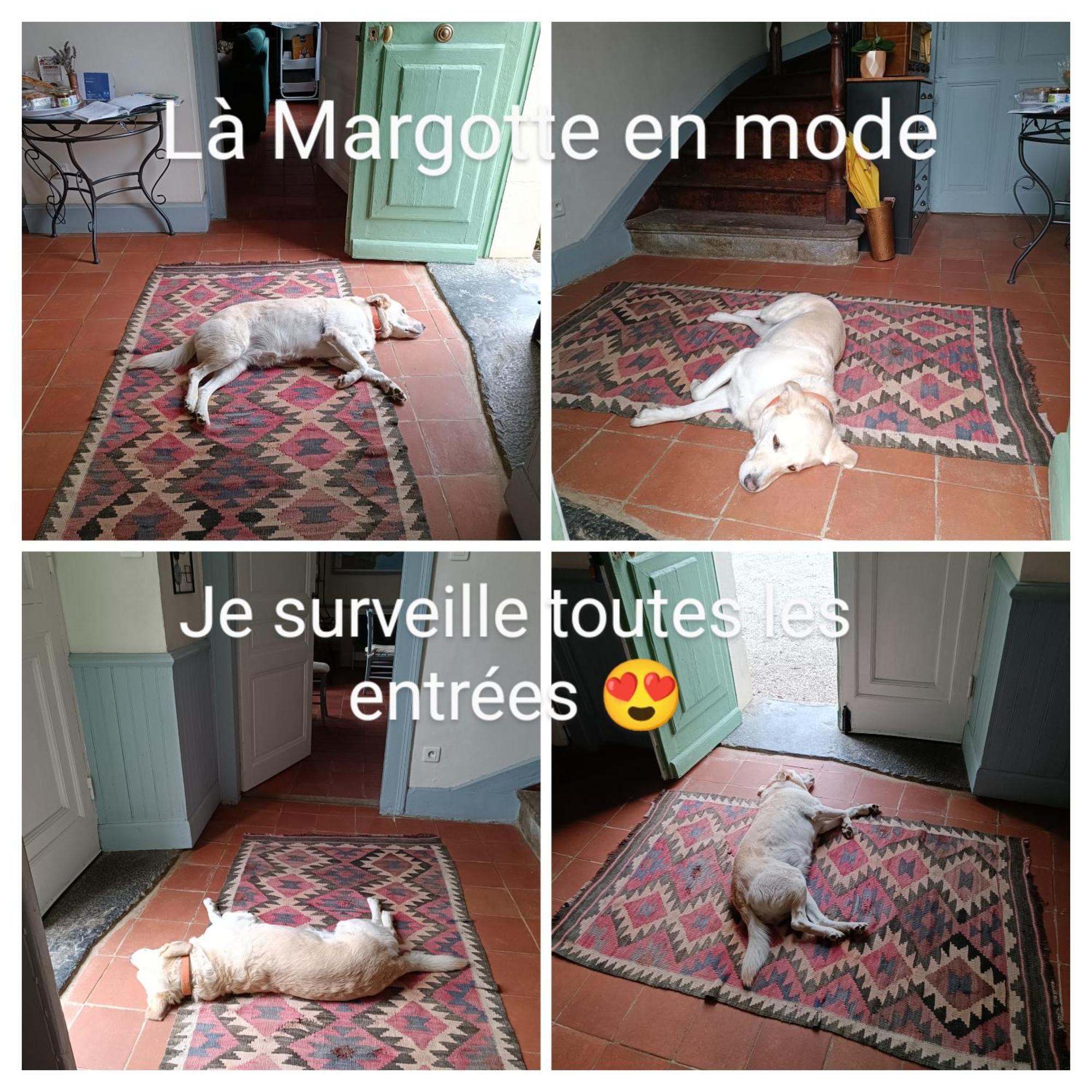 Baladous Panzió Montgaillard-de-Salies Kültér fotó